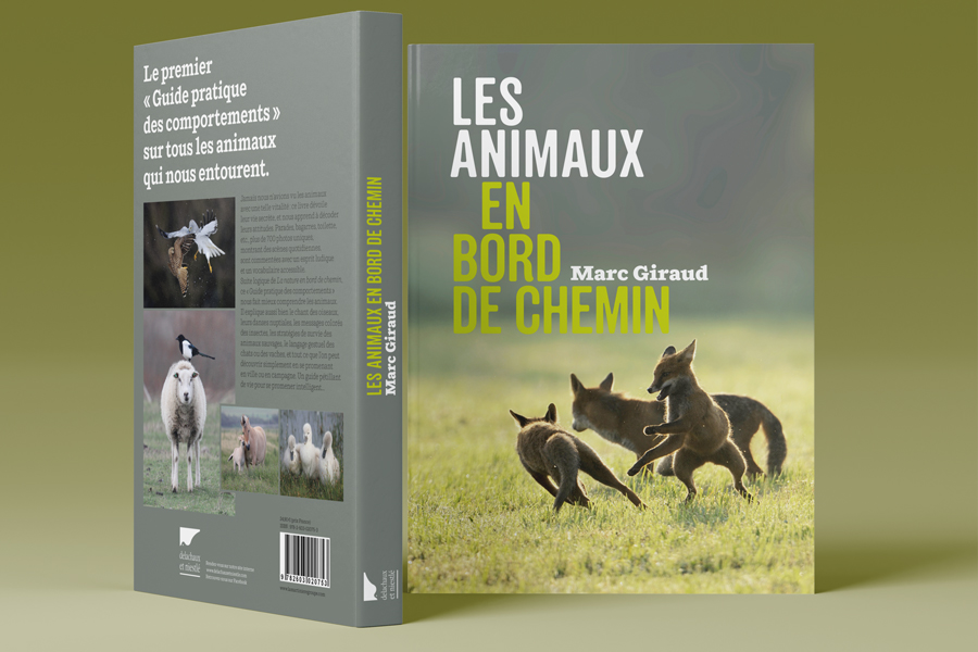 Delachaux-presentation